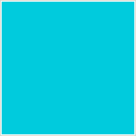 00CBDD Hex Color Image (LIGHT BLUE, ROBINS EGG BLUE)