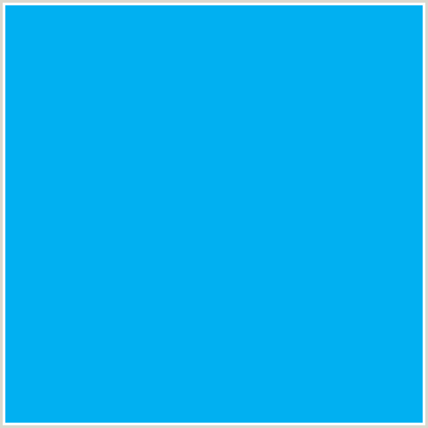 01B0F1 Hex Color Image (CERULEAN, LIGHT BLUE)