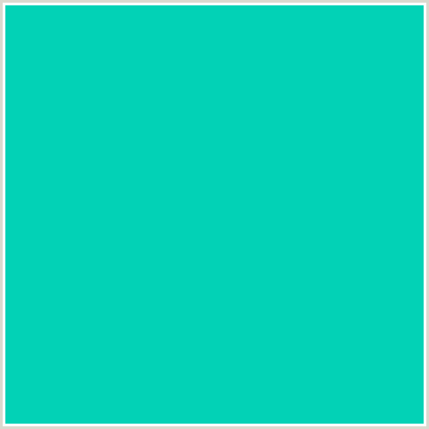 02D2B6 Hex Color Image (BLUE GREEN, ROBINS EGG BLUE)