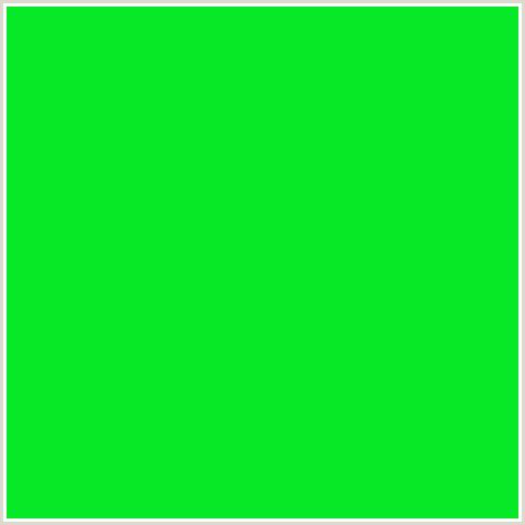 07E826 Hex Color Image (GREEN, MALACHITE)