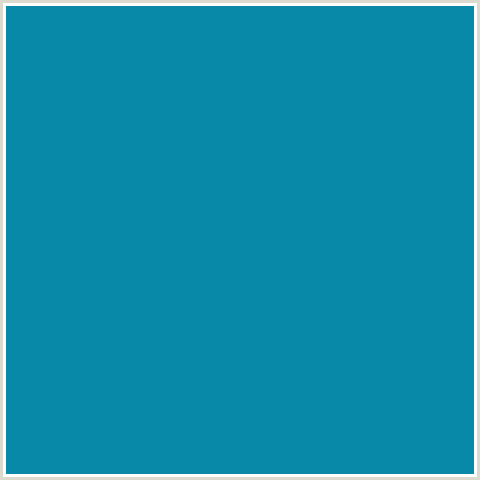 0989A8 Hex Color Image (BLUE CHILL, LIGHT BLUE)