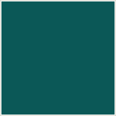 0B5857 Hex Color Image (AQUA, DEEP SEA GREEN, LIGHT BLUE)