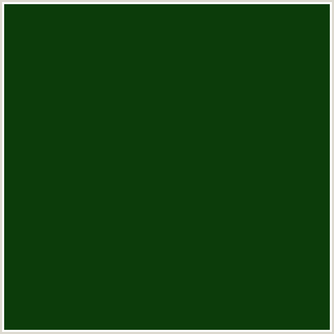 0C3C0A Hex Color Image (DARK FERN, GREEN)