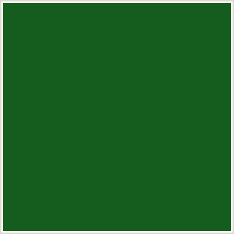 145D1E Hex Color Image (GREEN, PARSLEY)