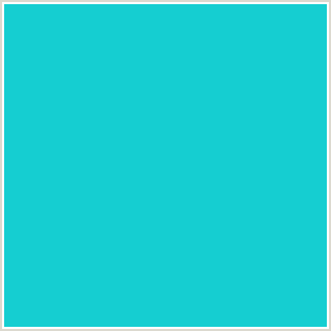 15CED1 Hex Color Image (JAVA, LIGHT BLUE)