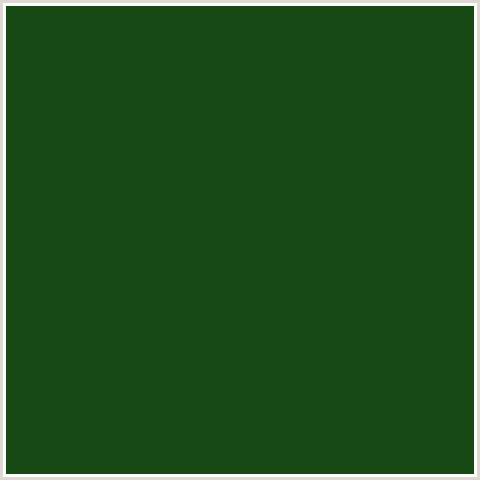 164813 Hex Color Image (GREEN, PARSLEY)