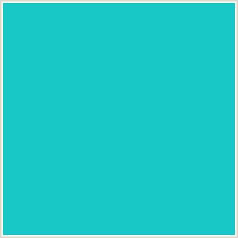 1AC7C7 Hex Color Image (JAVA, LIGHT BLUE)