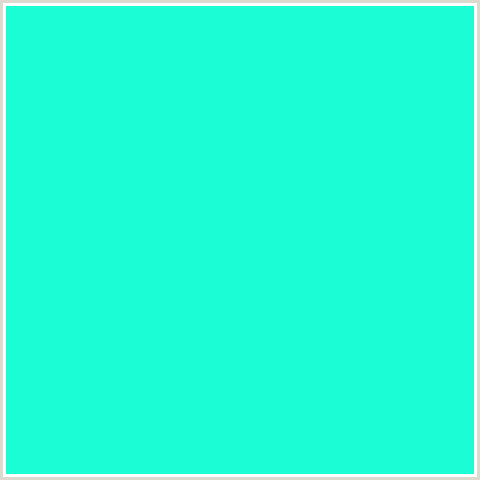 1AFDD5 Hex Color Image (BLUE GREEN, BRIGHT TURQUOISE)