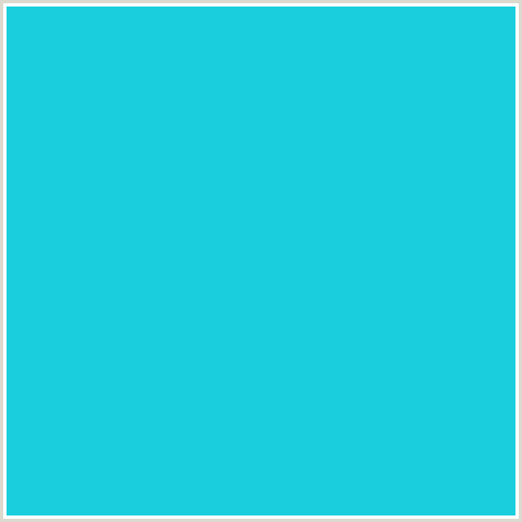 1BCEDE Hex Color Image (JAVA, LIGHT BLUE)