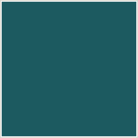 1C5A60 Hex Color Image (GREEN PEA, LIGHT BLUE)