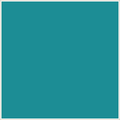 1C8E93 Hex Color Image (ELM, LIGHT BLUE)