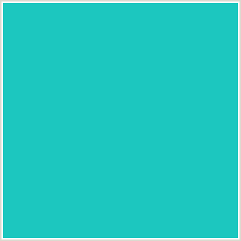 1CC7BF Hex Color Image (AQUA, JAVA, LIGHT BLUE)