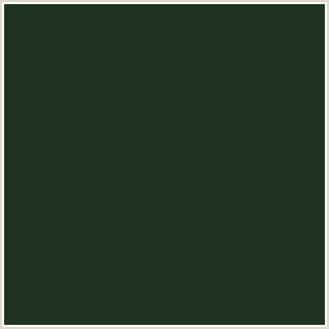 1E3420 Hex Color Image (GREEN, GREEN KELP)