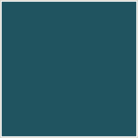 205460 Hex Color Image (BLUE DIANNE, LIGHT BLUE)