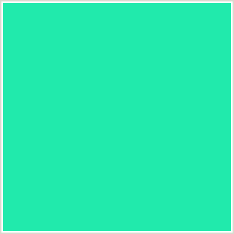 21EAAC Hex Color Image (BLUE GREEN, JAVA)