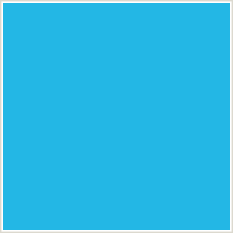 23B7E5 Hex Color Image (LIGHT BLUE, PICTON BLUE)