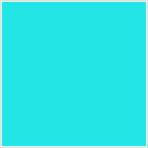 23E5E5 Hex Color Image (LIGHT BLUE, TURQUOISE)