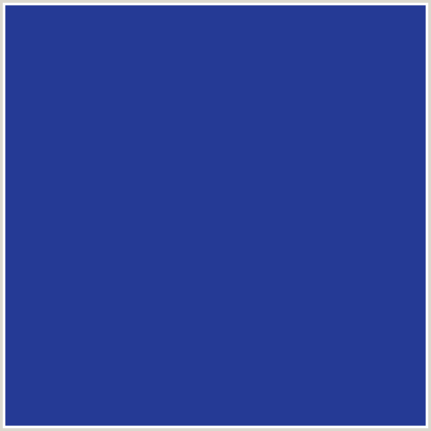 253A95 Hex Color Image (BLUE, JACKSONS PURPLE)