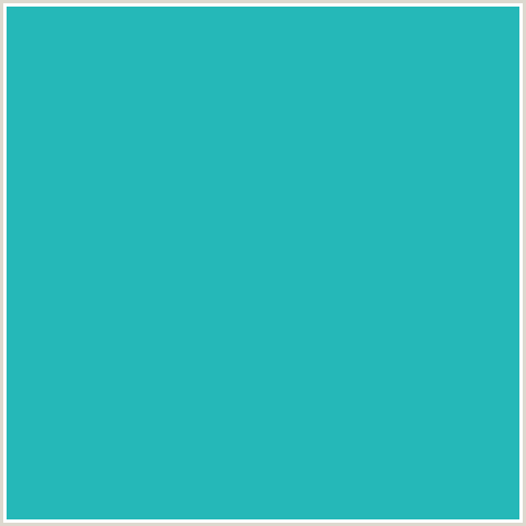 25B8B8 Hex Color Image (JAVA, LIGHT BLUE)