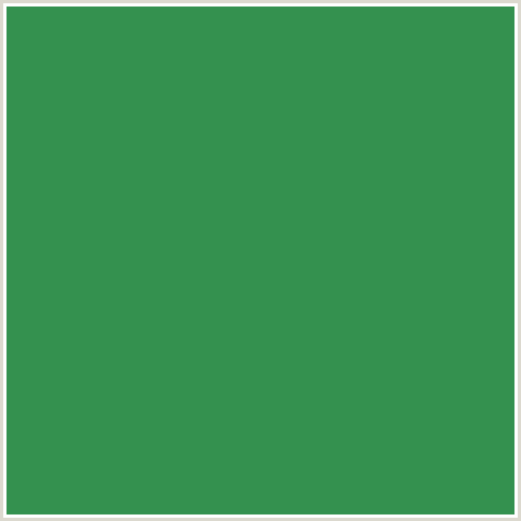 34914F Hex Color Image (FOREST GREEN, GREEN, SEA GREEN)