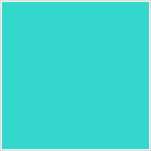 34D7CB Hex Color Image (AQUA, LIGHT BLUE, TURQUOISE)