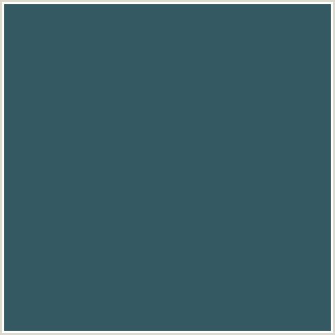 355963 Hex Color Image (LIGHT BLUE, WILLIAM)