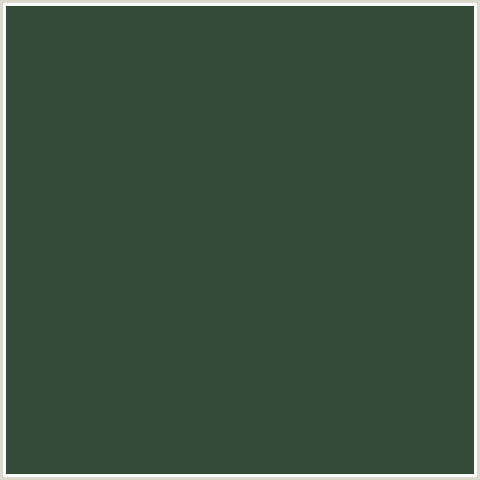 364B3A Hex Color Image (GREEN, LUNAR GREEN)