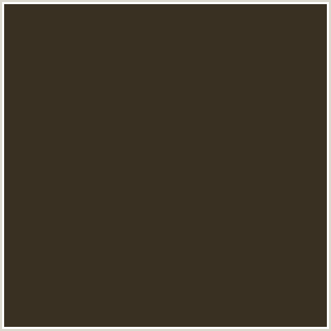 393022 Hex Color Image (BIRCH, BROWN, ORANGE)