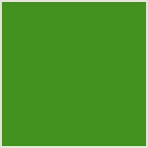 44921F Hex Color Image (FOREST GREEN, GREEN, VIDA LOCA)