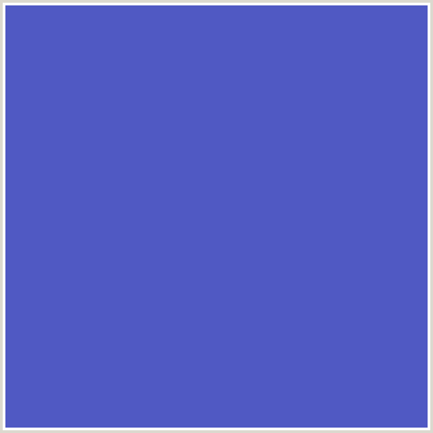 5059C3 Hex Color Image (BLUE, INDIGO)