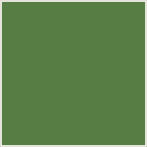 577C44 Hex Color Image (FERN GREEN, GREEN)
