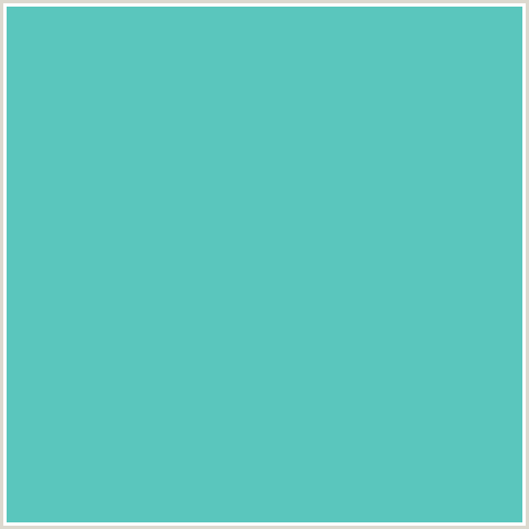 5AC6BD Hex Color Image (AQUA, FOUNTAIN BLUE, LIGHT BLUE)