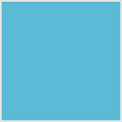 5BBAD5 Hex Color Image (LIGHT BLUE, SHAKESPEARE)