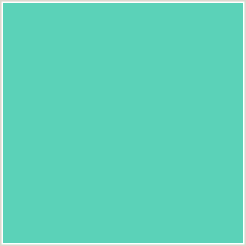 5BD2B8 Hex Color Image (BLUE GREEN, DOWNY)