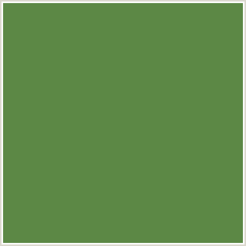 5C8845 Hex Color Image (GREEN, HIPPIE GREEN)