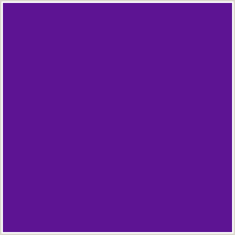 5D1493 Hex Color Image (SEANCE, VIOLET BLUE)