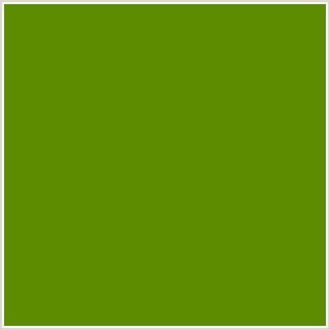 5D8C02 Hex Color Image (GREEN YELLOW, LIMEADE)