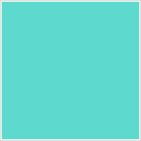 5DD9CE Hex Color Image (AQUA, LIGHT BLUE, VIKING)