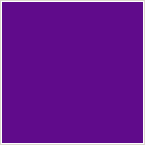 600B8B Hex Color Image (PURPLE, VIOLET, WINDSOR)