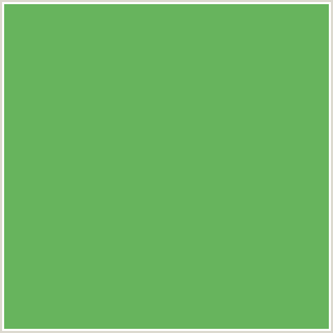 67B45D Hex Color Image (FERN, GREEN)