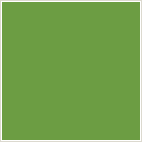 6C9D43 Hex Color Image (APPLE, GREEN)