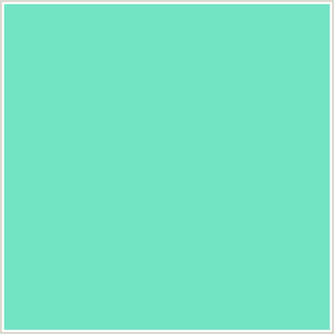 73E3C5 Hex Color Image (AQUAMARINE BLUE, BLUE GREEN)