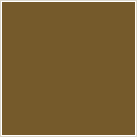 755A2B Hex Color Image (BROWN, DALLAS, ORANGE)