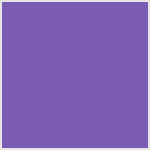 795CB2 Hex Color Image (BLUE VIOLET)