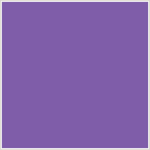 805DA9 Hex Color Image (BLUE VIOLET, DELUGE)