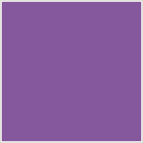 85579C Hex Color Image (PURPLE, TRENDY PINK, VIOLET)