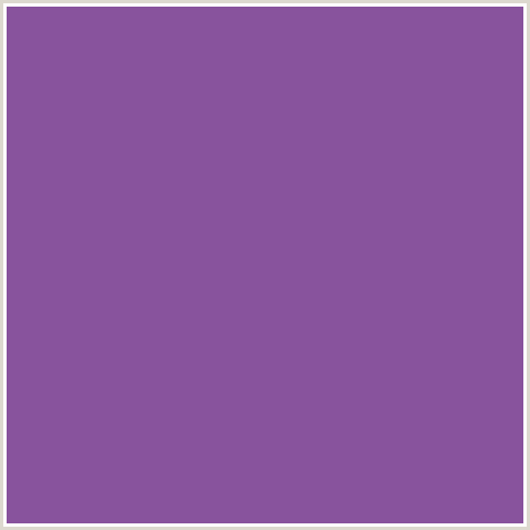 88539D Hex Color Image (AFFAIR, PURPLE, VIOLET)