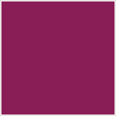 891D56 Hex Color Image (DEEP PINK, DISCO, FUCHSIA, FUSCHIA, HOT PINK, MAGENTA)