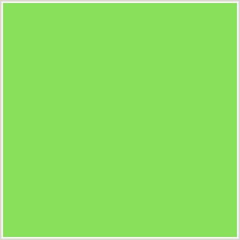 89E05A Hex Color Image (CONIFER, GREEN)