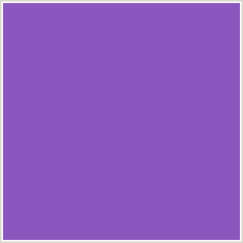 8B57BF Hex Color Image (FUCHSIA BLUE, VIOLET BLUE)